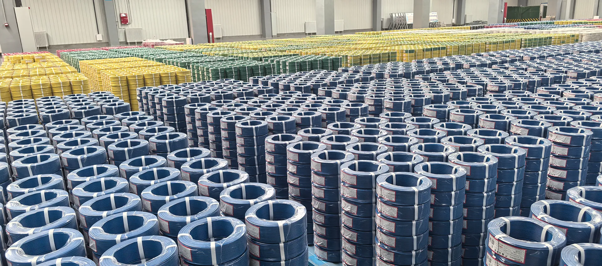 High-Speed Extrusion + Rewinding Packaging Solution